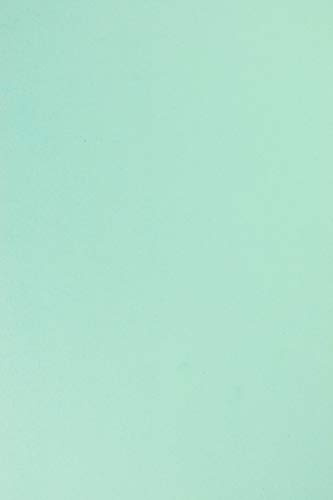 Netuno 100x Tonkarton Hell-Blau DIN A4 210× 297 mm 210g Sirio Color Celeste Bastelkarton A4 Ton-Zeichen-Karton hohe Qualität für Druckaufgaben Einladungs-Karten Hochzeits-Karten Weihnachts-Karten