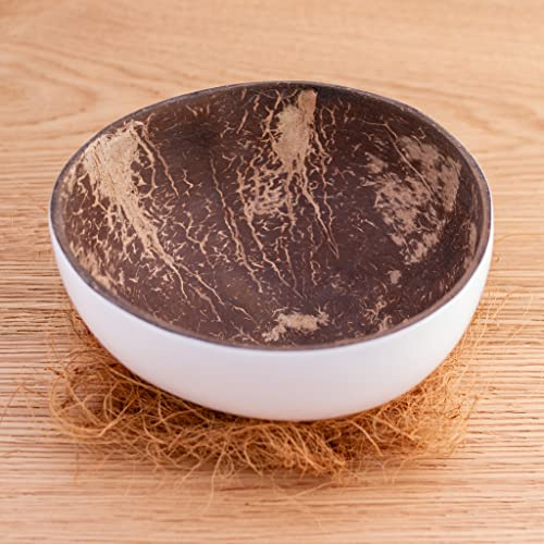 Kaloogo Cocobowl Pure - Cuenco de coco/Cuenco decorativo - Blanco