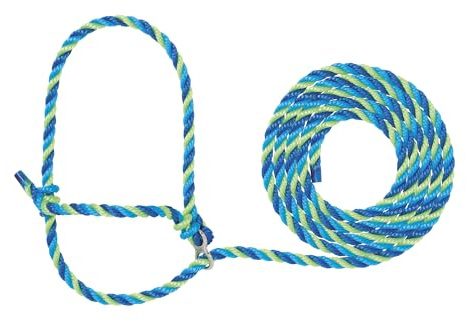 Weaver Leather Livestock Kirk Stierwalt Breaking Halter, Blue/Hurricane Blue/Lime Zest