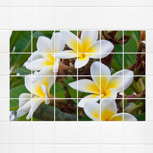 GRAZDesign Fliesenaufkleber Wellness Tropisch Blumen Fliesenbild Bad, Badezimmer Klebefliesen - 20x25cm / 142x101cm