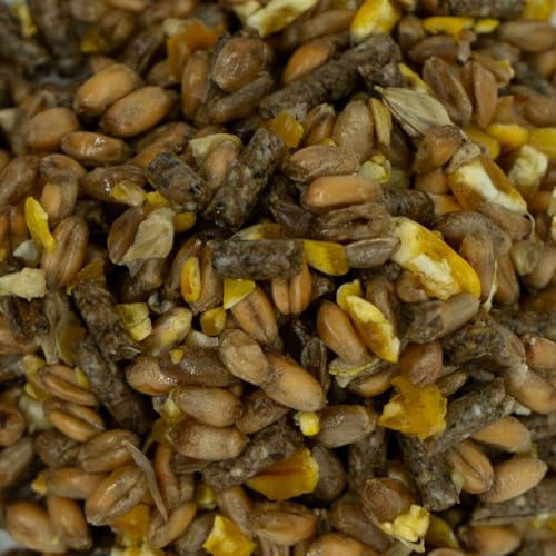 Mixed Poultry Corn with Layers Pellets & GM Free Maize | 20 kg Chicken Feed from Weterton Feeds, Red Tractor Assured