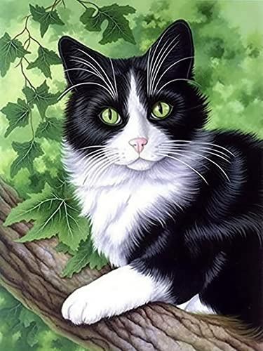 VAIIEYO 5D DIY Diamond Painting Katt, Diamantmålning Kit Djur, Strass Broderi Korsstygn Kit Tillbehör Konst Hantverk Kanvas Väggdekor Klistermärken Heminredning 30 x 40 cm-107