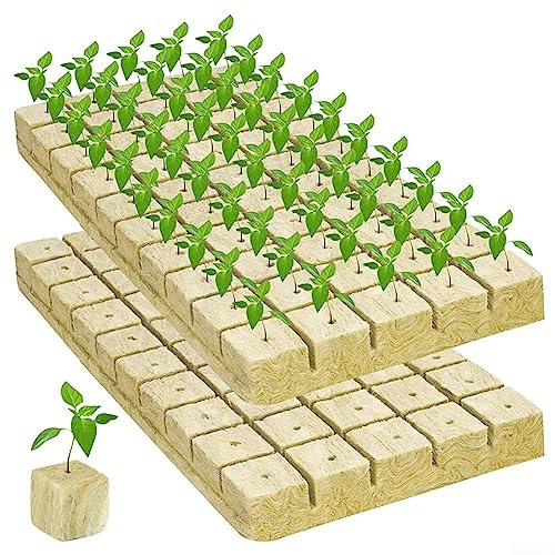 Rockwools Cubes de culture sans terre pour fleurs, substrat de culture sans terre, blocs de laine Grodan, 40 x 40 x 40 mm