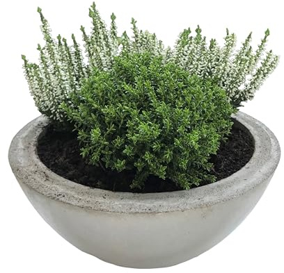 WeberHomemade Beton Pflanzschale, Schale, Pflanzgefäß, Betontopf, Topf, Obstschale, schmaler Rand