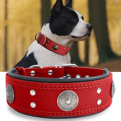 Hundehalsband Leder, 5 cm Breites Robustes Echtes Lederhalsband, Handgefertigt, Weich und Luxuriös, Auffällige Beste Wahl für Große und Mittelgroße Hunderassen, Rot M