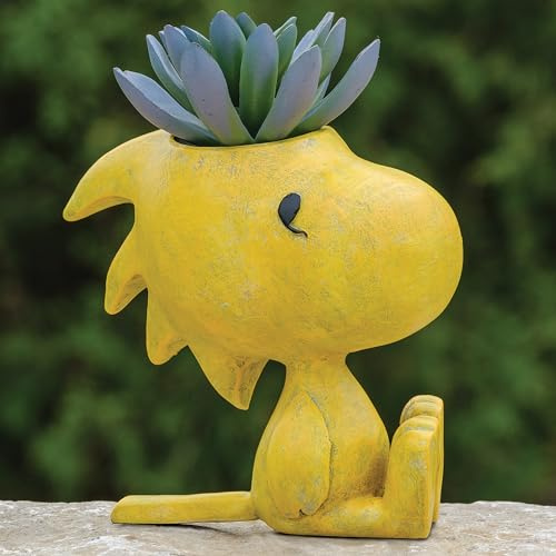 Roman, Peanuts Woodstock Pflanzgefäß - 15,9 cm H Indoor/Outdoor Pflanzgefäß für Sukkulenten oder Kräuter