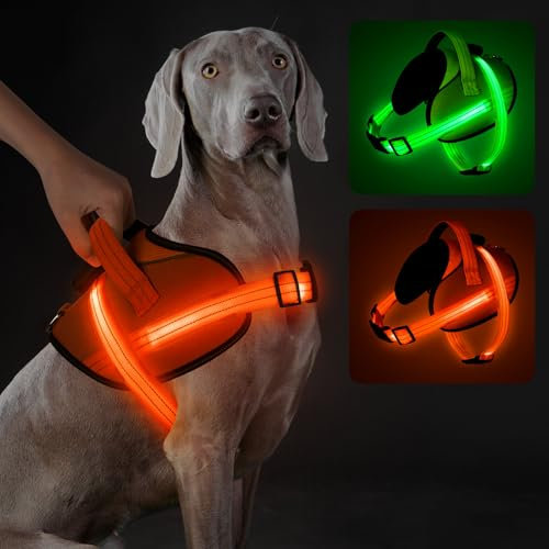 Light Up Hundegeschirr, No-Pull Led Hundegeschirr Wiederaufladbar, Reflektierend Leuchtgeschirr für Hunde, Einstellbar & Komfort Gepolstert für Sicherheit beim Nachtspaziergang (Orange, M)
