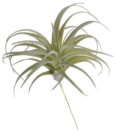 QUARKZMAN Artificial Suculentas Plantas Falsa Piña Hierba 5 Claro Verde | 1uds, Grande Imitación Suculentas Sin Maceta Real Toque, para Bricolaje Casa Boda Jardín Oficina Floral Decoración