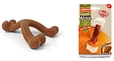 Nylabone Extreme Tough Dog Chew Toy, Wishbone Bison Flavour, Large, for Dogs Up to 23 kg & Extreme Tough Dog Chew Toy Femur Alternative, Mess-Free, Beef Flavour, Medium, for Dogs Upto 16 kg