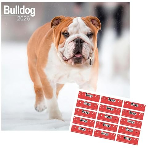 Avonside Bulldog 2027 Calendar with Organisational Stickers, 16 Month Square Wall Calendar (Sept 2026 - Dec 2027), UK Planner with Bulldogs, For Dog Lovers, Home or Office, 11.6 x 11.6 in