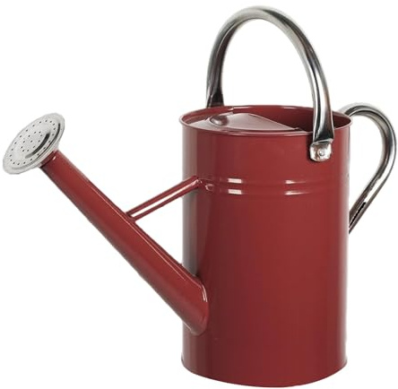 PANGBOER Arrosoir en fer lourd pour jardinage avec poignée ergonomique et arroseur grande capacité Outil d'entretien des plantes d'extérieur