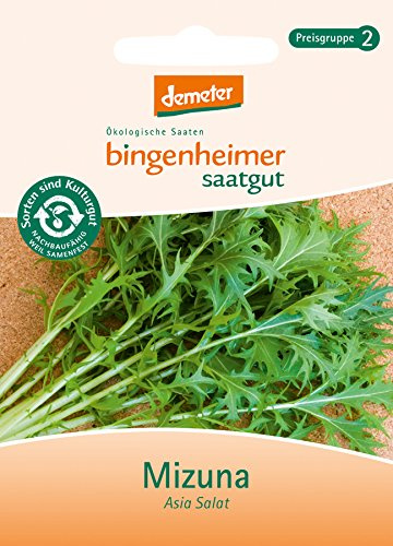 Bingenheimer Saatgut - Asia Salat Mizuna - Gemüse Saatgut / Samen