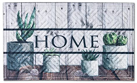 Astra Felpudo para Interiores y Exteriores Que atrapa la Suciedad - Soporte sostenible de Caucho Reciclado - Felpudo Antideslizante y Resistente 45 x 75 cm Cacti Home