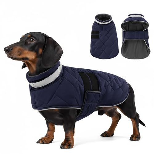 ASENKU Hundemantel Winter - Wasserdicht & Fleecegefüttert für kleine Hunde | Reflektoren, Verstellbarer Riemen,Geschirrloch, Hundejacke für Chihuahua, Yorkshire,Ideal für tägliche Spaziergänge bei Kälte