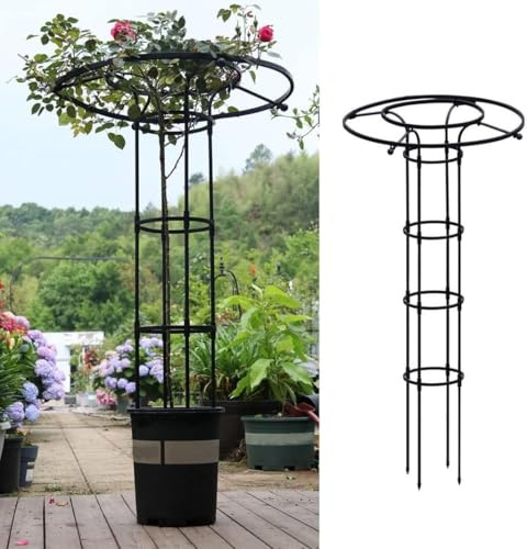 Treillis vertical pour plantes grimpantes - Tour de support en métal pour vignes et fleurs - Design haut enduit noir (120 x 25 cm)