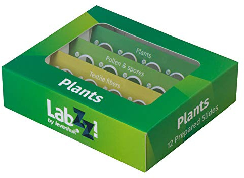 Levenhuk LabZZ P12 Präpariertes Pflanzen-Probenträgerset mit 12 Biologischen Proben für Kinder mit Interesse an Botanik