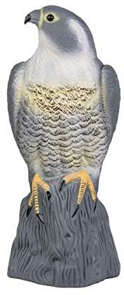 rg-vertrieb Taubenschreck Vogelscheuche Taubenabwehr Dekofigur Vogelabwehr Vogel Falke Garten Figur (1 Stück)