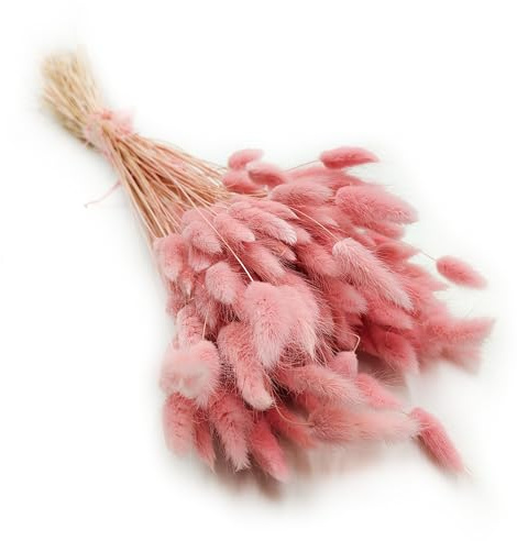 Enchanted Dekogras Getrocknetes Gras Ziergras Hasenschwänze Lagurus Ovatus Samtgras Häschen-Schwanzgras Trockenblumen Natürlich Boho 120 - 150 Stück 100 g Rosa