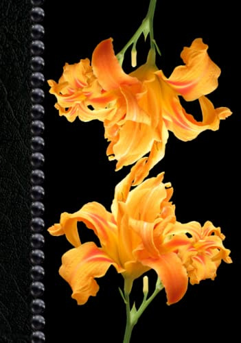Orange Daylilies Notebook
