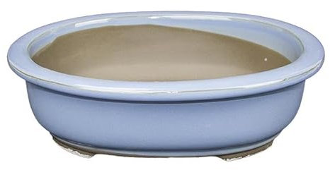 Geosism & Nature Vaso per bonsai Giapponese Morrisan ovale in gres smaltato azzurro 26x22x7 cm - B21-29a