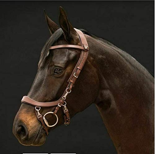 PresTeq Leder Trense FaySport 12 anatomische Eigenschaften (Pony, braun)