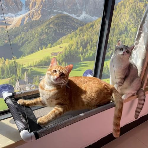 FANWINKJ Hamaca para ventana para gatos, cómoda cama para gatos, accesorios para gatos de hasta 20 kg, protección y espacio con mosquitera, cama para gatos, ventana y mosquitera para gatos