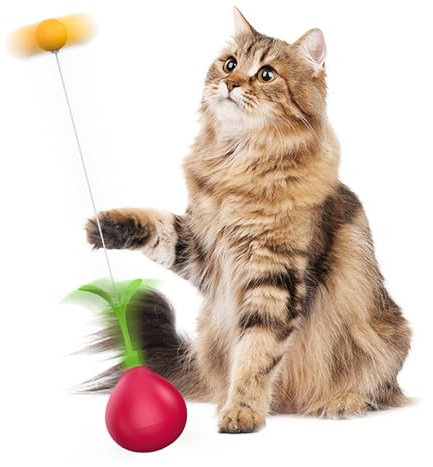 DIY 2 in 1 Katzenspielzeug, stellt Sich automatisch auf - Selbstbeschäftigung durch innovatives Design - NEU