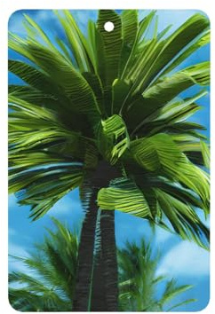Summer Palm Tree Printing 10 Stück Auto-Lufterfrischer zum Aufhängen, duftende Blätter zum Aufhängen mit Seil für Zuhause