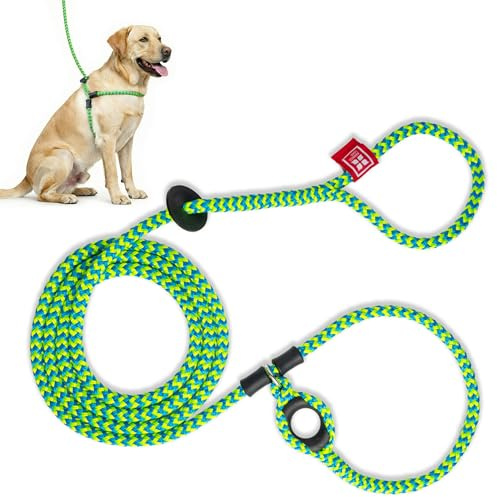 Harness Lead No Pull Dog Harness and Leash Set, Anti Pull Dog Harness, One-Piece Cushioned Rope Safely Prevents Escaping and Pulling (Medium/Large, Peacock/Blue/Lime)