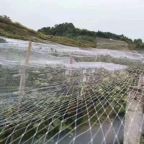 Ccsh Vogelschutznetz Nutzpflanzen-Gitternetzschutz, Obstbäume Heidelbeersträucher Weißes Nylon Gartennetz, Abschreckungspräventionsnetz (Size : 30x15m/98x49ft)