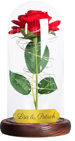True Statements Ewige Rose im Glas mit LED-Licht und personalisierter Gravur - Unendliche Rose mit Personalisierung - Romantisches Deko-Geschenk - Liebesgeschenk für Freundin, Frau
