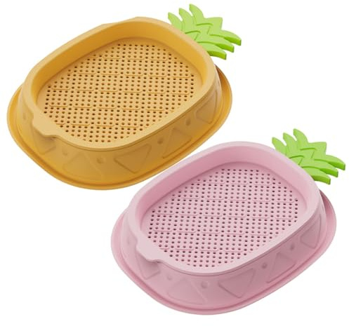 CAKEEYUM 2PCS Cat Grass for Indoor Cats, Soilless Hydroponic Cat Grass Seeds Growing Box, Layered Self Planting Catnip Seeds Growing Box for Catnip, Seed Not Included gardening