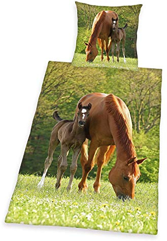 Young Collection Pferd Bettwäsche, 2-teilig, 80 x 80 cm, 135 x 200 cm Baumwolle 100%