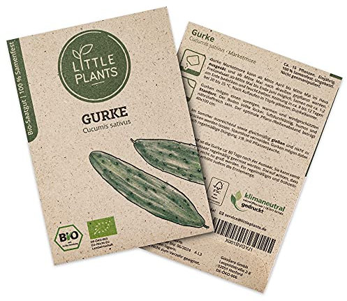 Litte Plants BIO Gurken Samen, 15 Gurkensamen, hohe Keimrate, 100% Natürlich, BIO Samen Gurke Marketmore für deinen Gemüsegarten, Gemüsebeet, Hochbeet – BIO Gemüsesamen Saatgut Nachhaltig