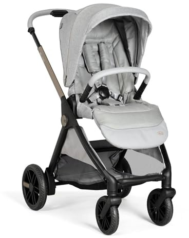 Passeggino 4 ruote Chicco