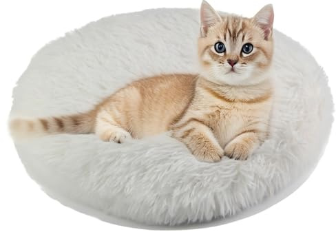 RICHRAIN Katzenkissen Rund,Plüschkissen für Katzen und Hunde, rund, warme Matte, weich und bequem, für Wohnzimmer (weiß, S 37CM)