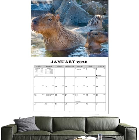 Calendario De Pared Mensual 2026-2027 | Planificador Temático De Capibara Con Bloques Grandes Rayados - Calendario De 13 Meses Enero 2026 A 2027 - Para Planificar Citas Y Programar Horarios