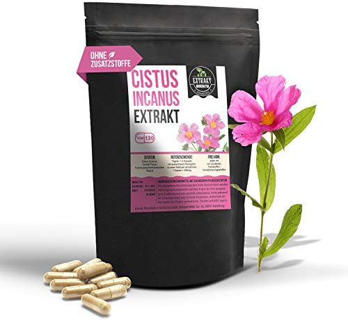 Cistus Incanus Extrakt | 40% Polyphenole | 120 Kapseln 400mg | Zistrose ohne Zusatzstoffe | hochdosiert vegan in Deutschland hergestellt (Kapseln 120)