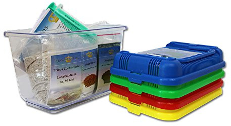 Urzeitkrebse Einsteiger Set I von Triops King mit 150 Eier und einem grünen Deckel - Inkl. Aufzuchtbecken, Futter, Anleitung, Sand, Triopseiern der Art Longicaudatus und Reinigungsspritze