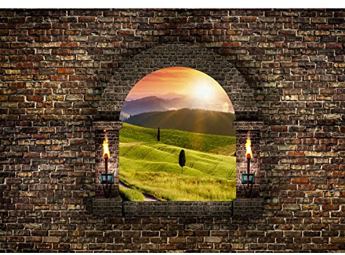 Runa Art Carta da parati fotografica finestra Paesaggio naturale 352 x 250 cm Vello Sfondo Murale XXL Moderne Decorazione Soggiorno Camera De Letto Sala Ufficio marrone, verde, 9025011b