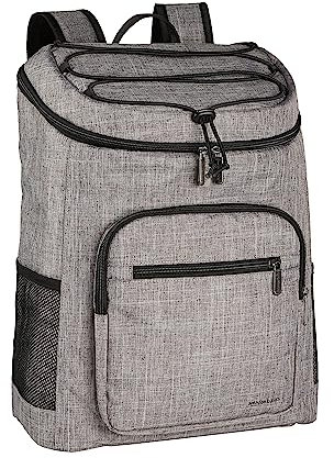 Amazon Basics Rucksack-Kühlbox, wasserdicht, leicht, isoliert, Fassungsvermögen von 20 l (30 Dosen), Grau