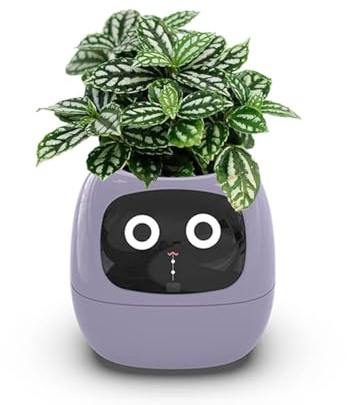 Smart Flowerpots,Smart Pet Planter,Ai Planter,Intelligent Flowerpots,Multiple Expressions,7 Smart Sensors, And Ai Chips Make Raising Plants Easy And Fun For Living Room,Desk,Plant-free (Purple)