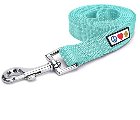 Pawtitas Teal Dog Leash 6 ft M/L Reflective Durable Lightweight Dog Lead for Medium or Large Dogs and Puppies