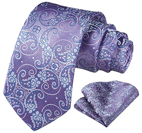 HISDERN Herren Krawatte Taschentuch Blume Paisley Hochzeit Krawatte & Einstecktuch Set