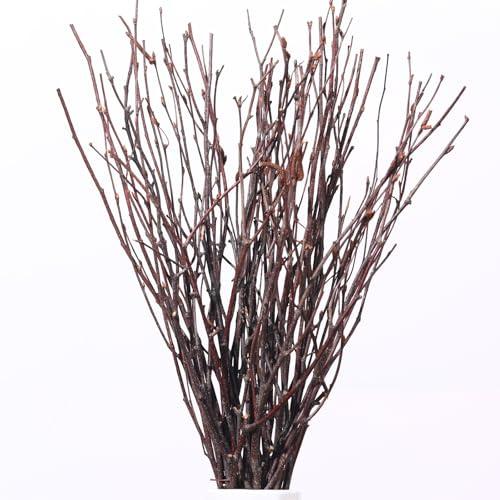 20Pcs Real Dried Birch Twigs - 17 Natural Decorative Birch Branches for Vase, Centerpiece, Sticks for DIY Crafts, Twig Wreath, Flower Arrangement, Plants for Rustic Home Wedding Decor