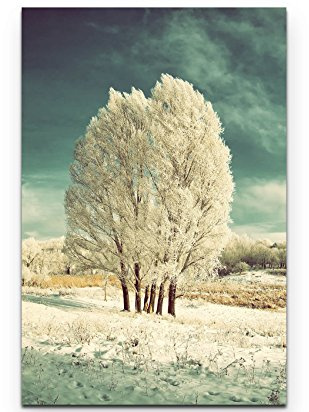 Leinwandbilder | Bilder Leinwand 90x60cm eisige Winterlandschaft mit Baum
