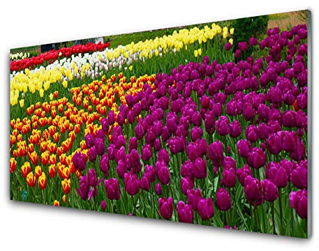 Tulup Acrylic Print 100x50cm Wall Art - Wall Picture on Plastic Acryl Glass - Tulips Floral