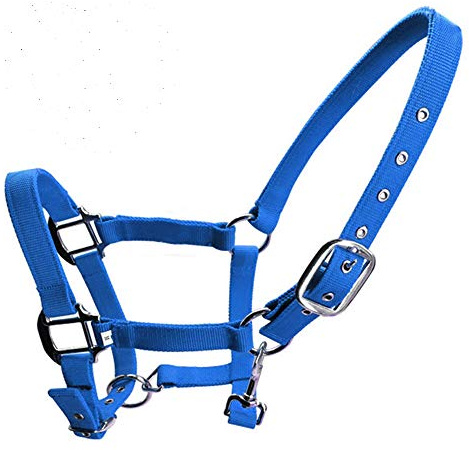 Collar de nailon para caballo, acolchado ecuestre, nariz ajustable y cierre de hebilla con clip de barbilla, azul, mediano