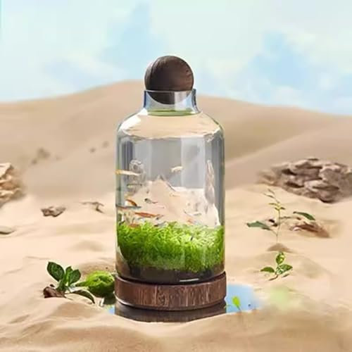 UPWONEC Glasaquarium Mit Holzbasis, Transparenter Holzfischtank, Eleganter Natürlicher Betta -Fischtank, Klarer HD -Glas Goldfischschale, Aquaponik -Fischtank, Mikrolandschaftskulturpanzer,M