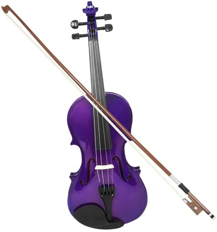 Geige Professionelle 4/4 Anfänger Schülervioline